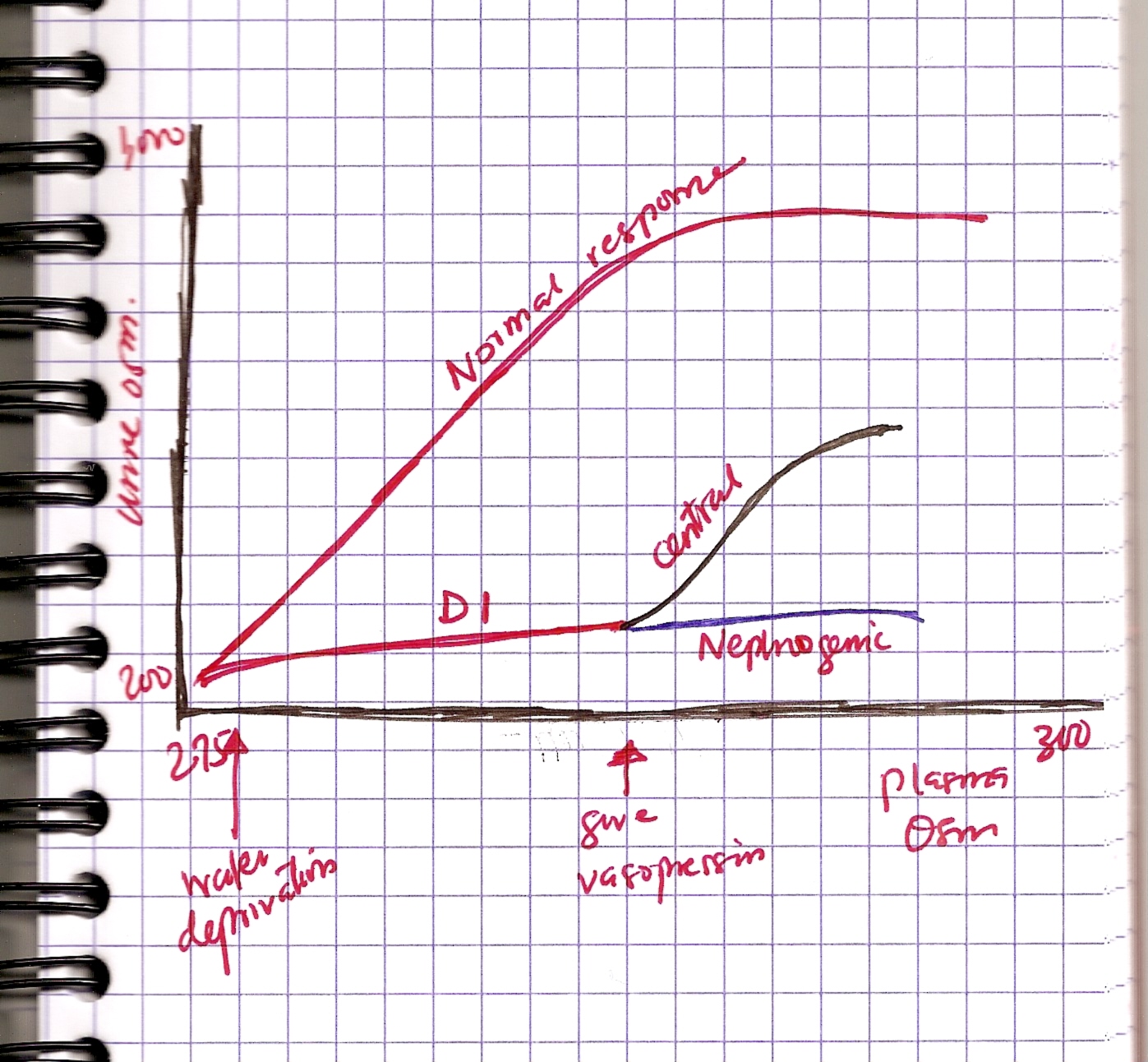 diabetes insípida central usmle diabetes insípida central usmle